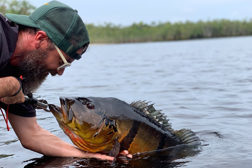 Free Fishing App for Enthusiastic Anglers