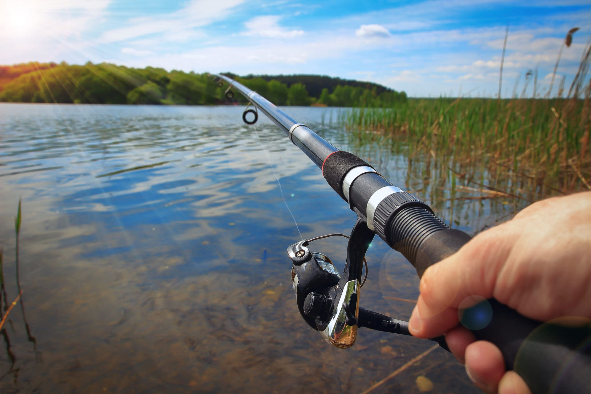 Free App to Enhance Your Fishing Experience