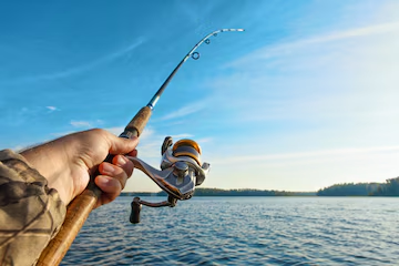 Elite Fishing: Top-Level Tips with Free App